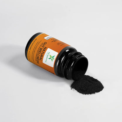 Natural Gut Wellness Powder My Health First Company LLC